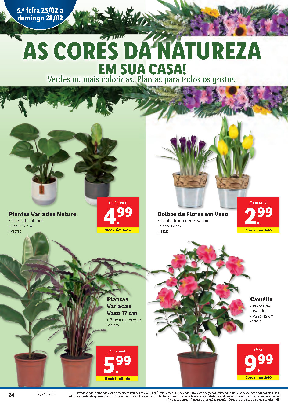 folheto lidl 22 fevereiro Page42