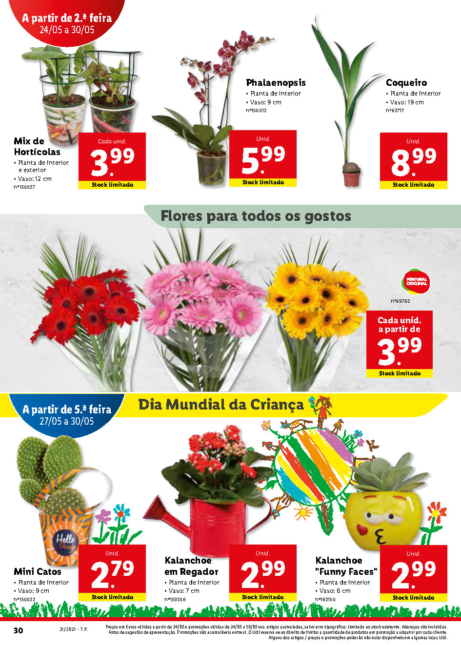 folheto lidl bazar 24 maio Page50