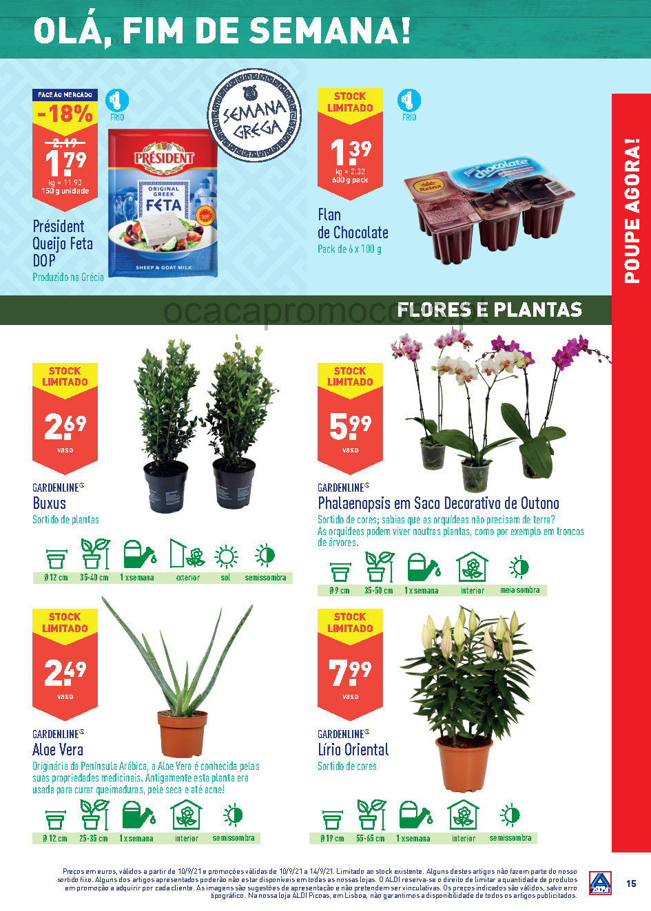 antevisao folheto aldi 8 setembro 14 setembro promocoes Page15 1