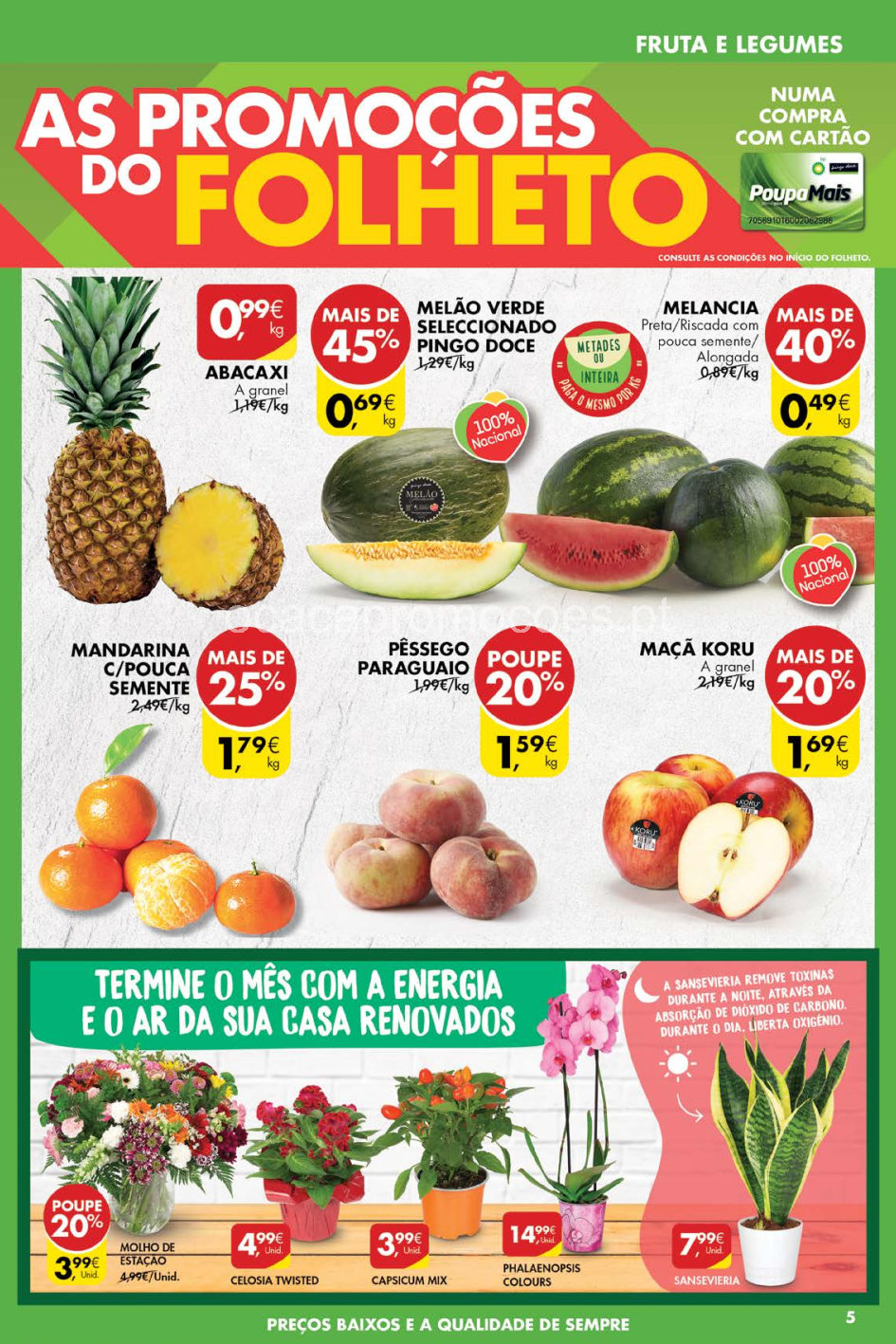 pingo doce folheto promocoes 24 agosto 30 agosto Page5