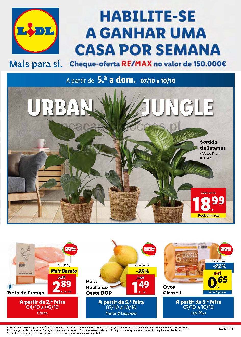 antevisao folheto lidl 4 outubro 10 outubro promocoes Page1 1