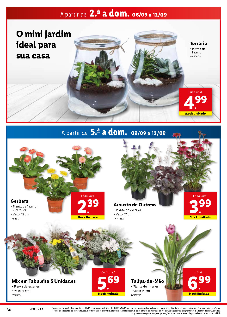 antevisao folheto lidl promocoes 6 setembro 12 setembro 2021 Page48 1