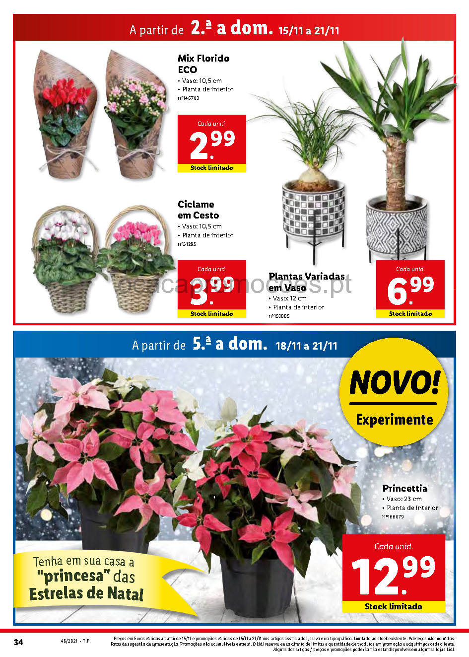 flores folheto lidl 15 novembro 21 novembro Page34