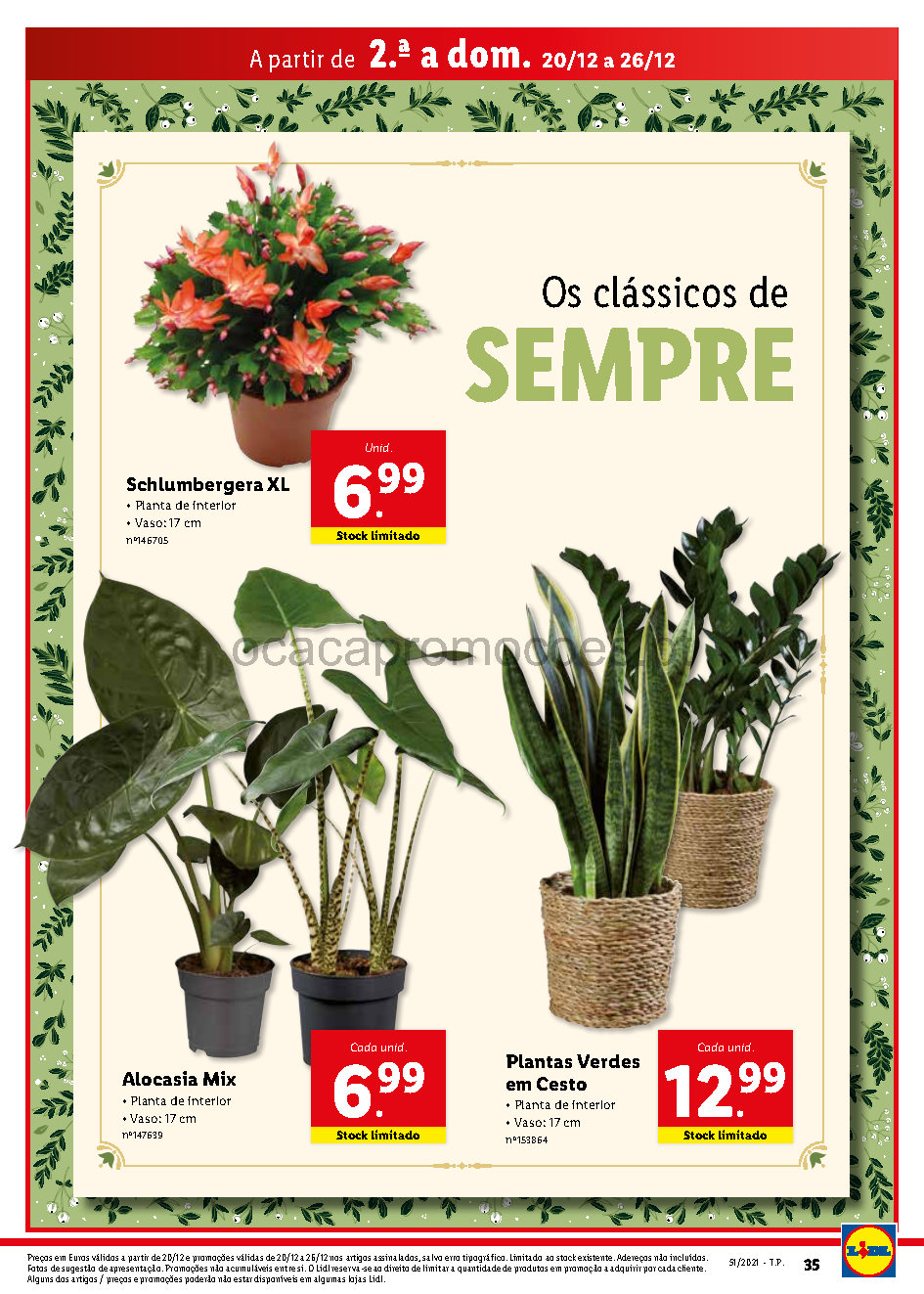 antevisao bazar folheto lidl bazar 20 dezembro 26 dezembro Page18 31