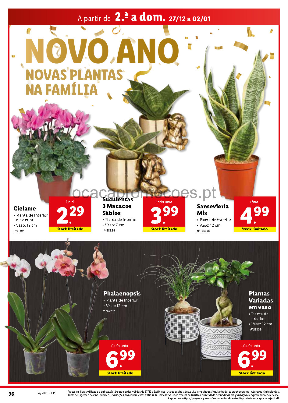 antevisao folheto lidl promocoes 27 dezembro 2 janeiro Page19 32