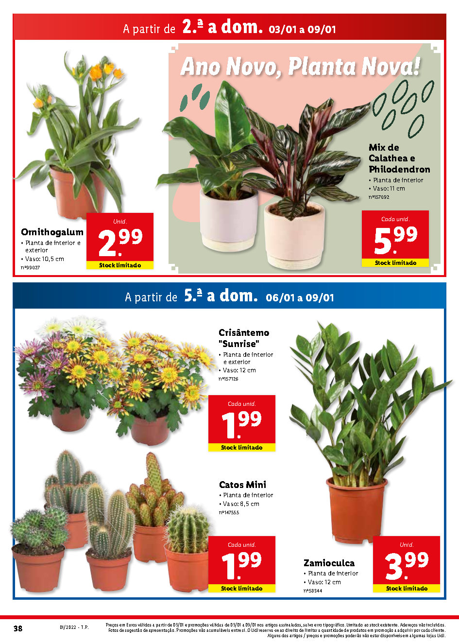 flores lidl folheto promocoes 3 janeiro 9 janeiro Page38