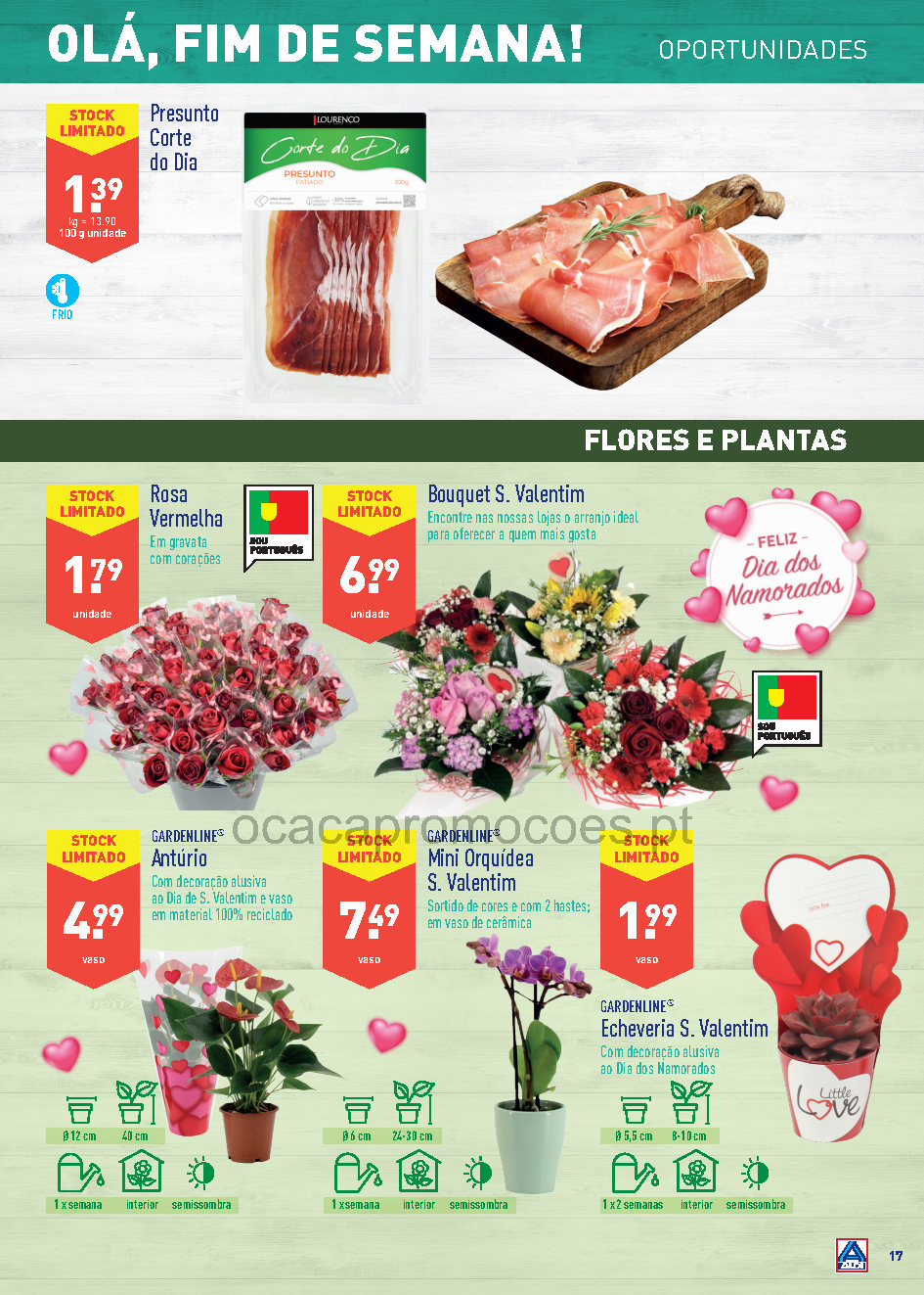 antevisao folheto aldi promocoes 9 fevereiro 15 fevereiro Page17 1