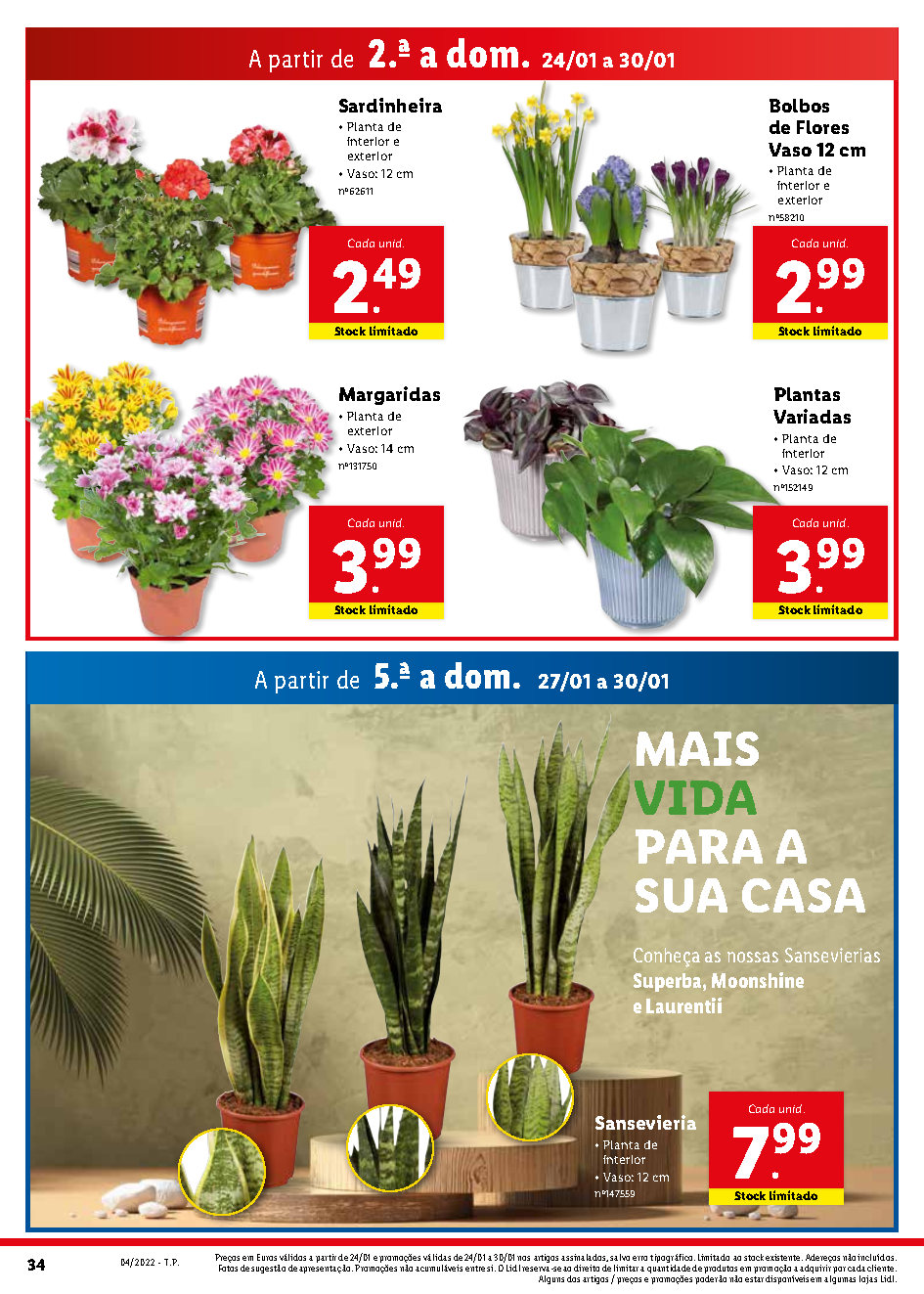 antevisao lidl folheto promocoes 24 janeiro 30 janeiro Page34