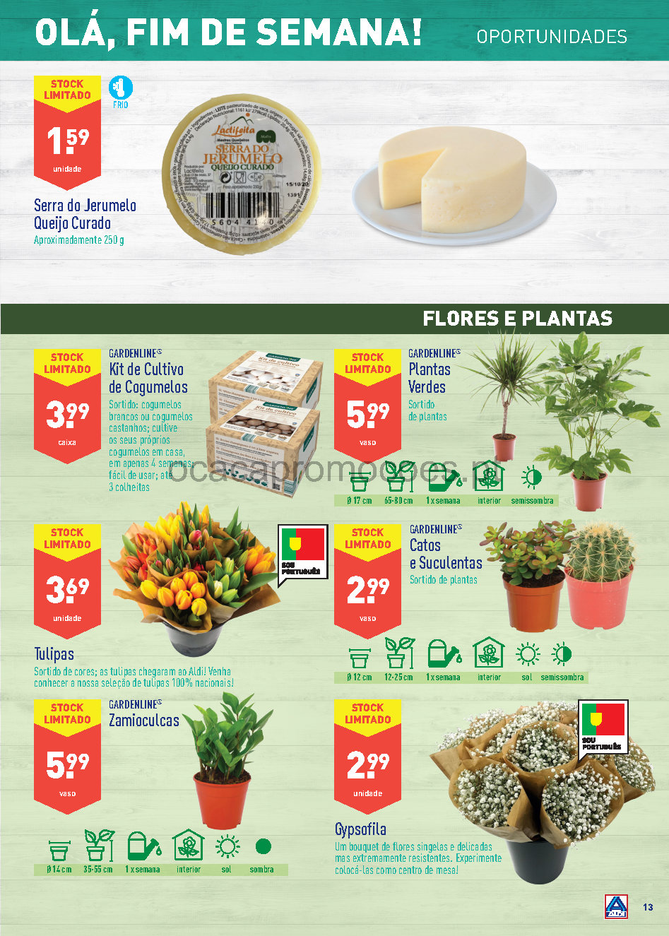 descontos folheto aldi 19 janeiro 25 janeiro promocoes Page13 1