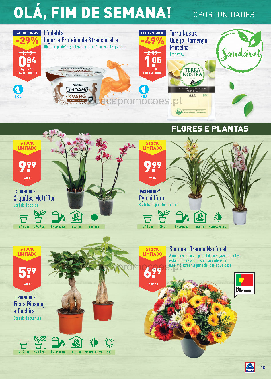 flores folheto aldi 26 janeiro 1 fevereiro Page15 1