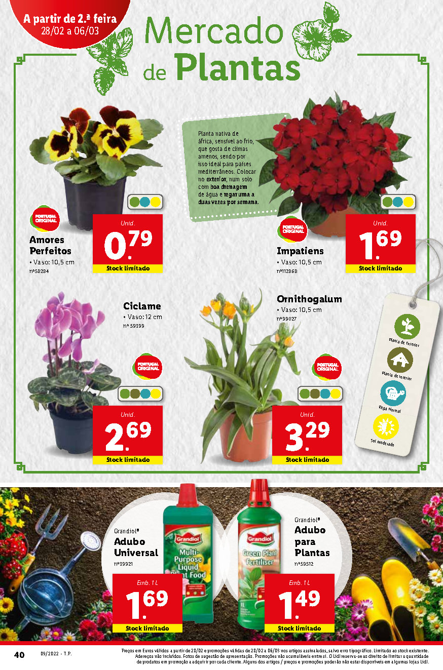 a antevisao folheto lidl promocoes 28 fevereiro 6 marco Page23 37