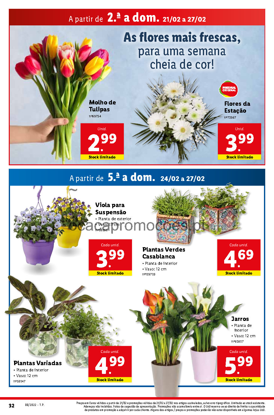 folheto lidl 21 fevereiro 27 fevereiro promocoes Page50