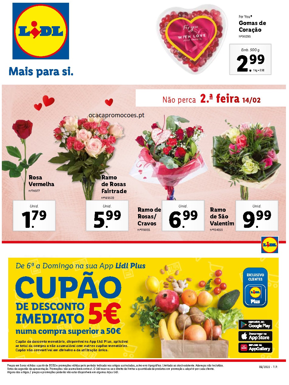 folheto lidl 7 fevereiro 13 fevereiro promocoes Page21 1