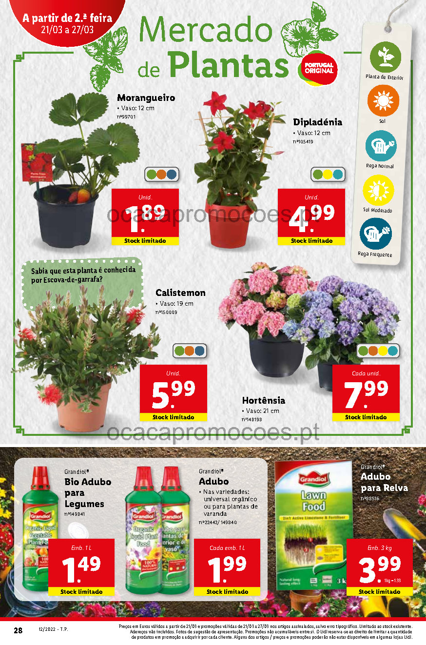 flores folheto lidl bazar promocoes 21 marco 27 marco Page48