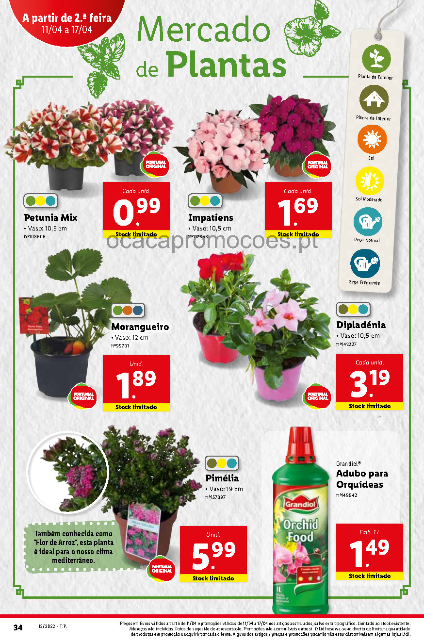 antevisao folheto lidl promocoes 11 abril 17 abril bazar Page19 29