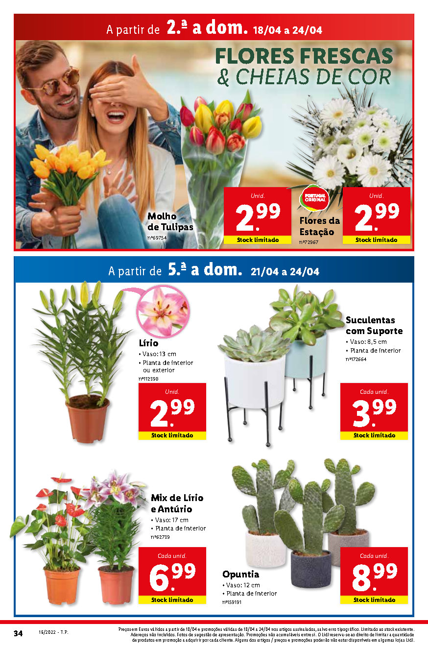 flores folheto lidl bazar 18 abril 24 abril promocoes Page52