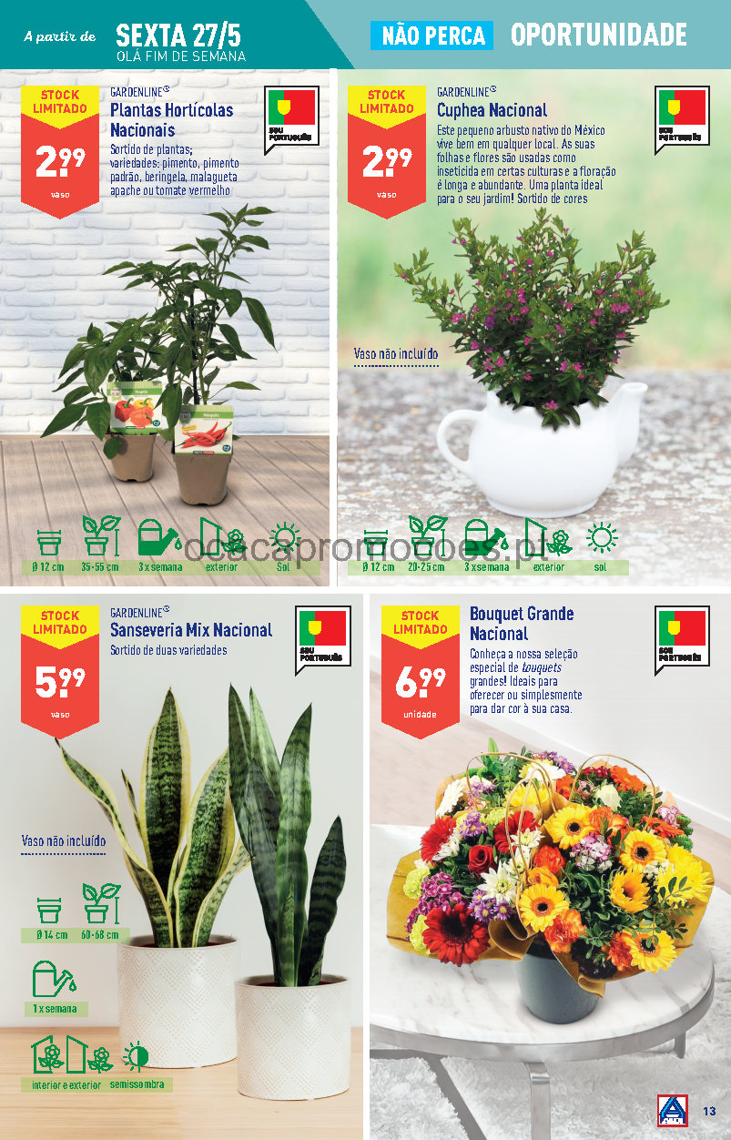 aldi 25 maio 31 maio promocoes folheto Page13 1