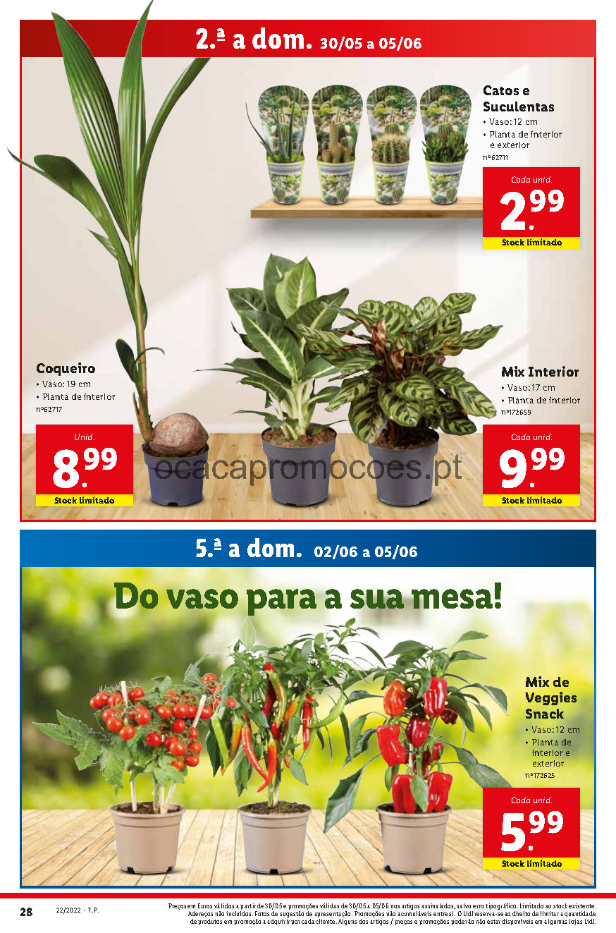 flores folheto lidl promocoes 30 maio Page58