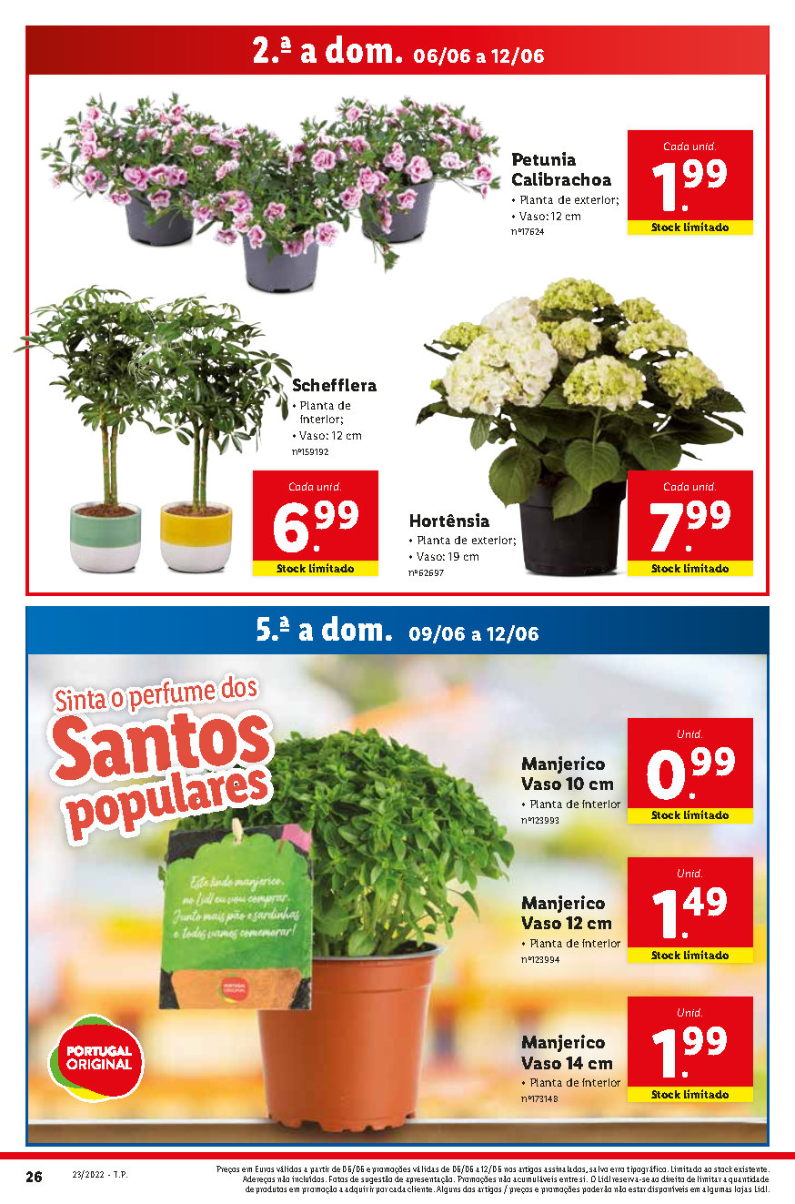 FLORES folheto lidl 6 junho 12 junho Page51