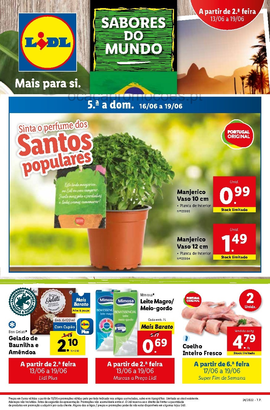 antevisao folheto lidl bazar 13 junho 19 junho promocoes