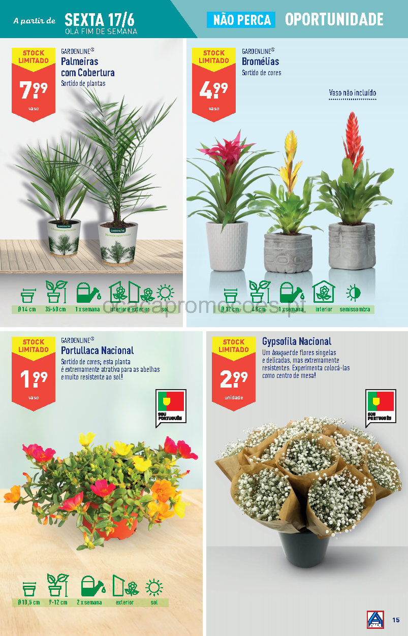 flores folheto aldi 15 junho 21 junho promocoes Page15 1