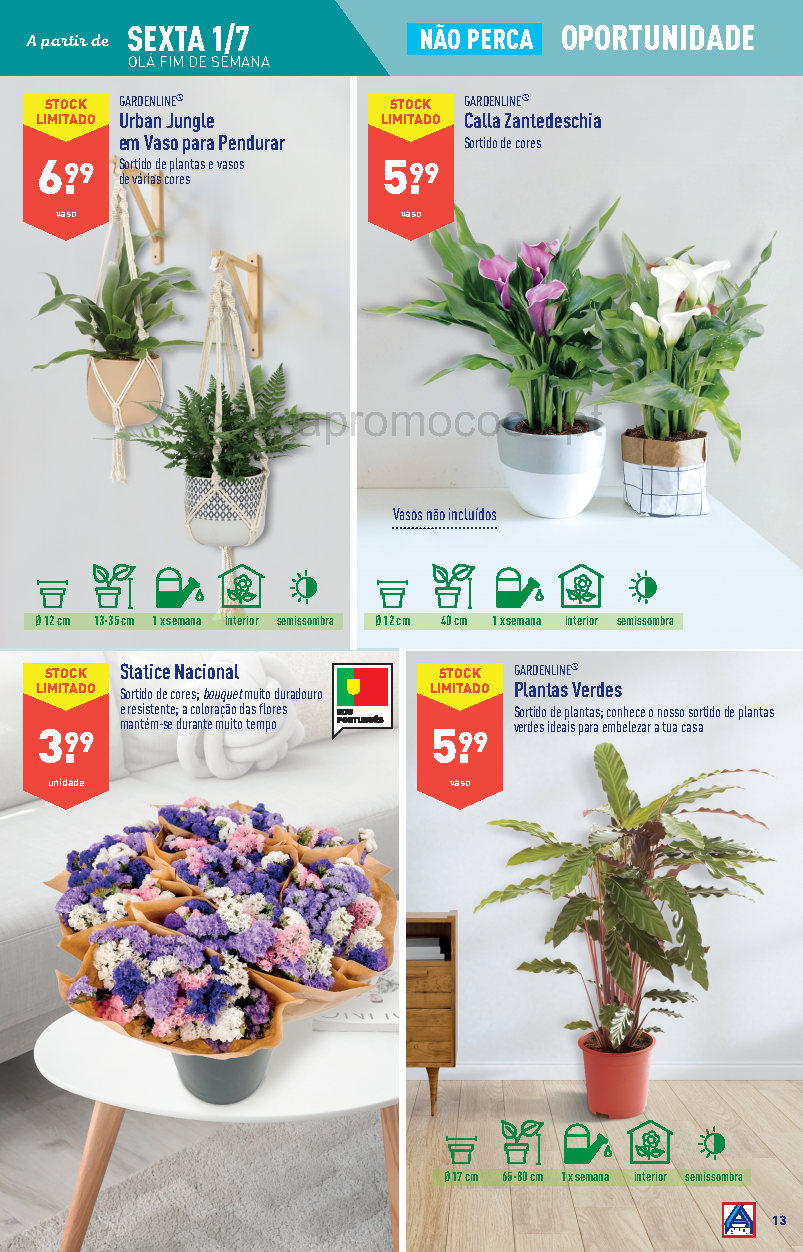 flores folheto aldi 29 junho 5 julho promocoes Page13 1