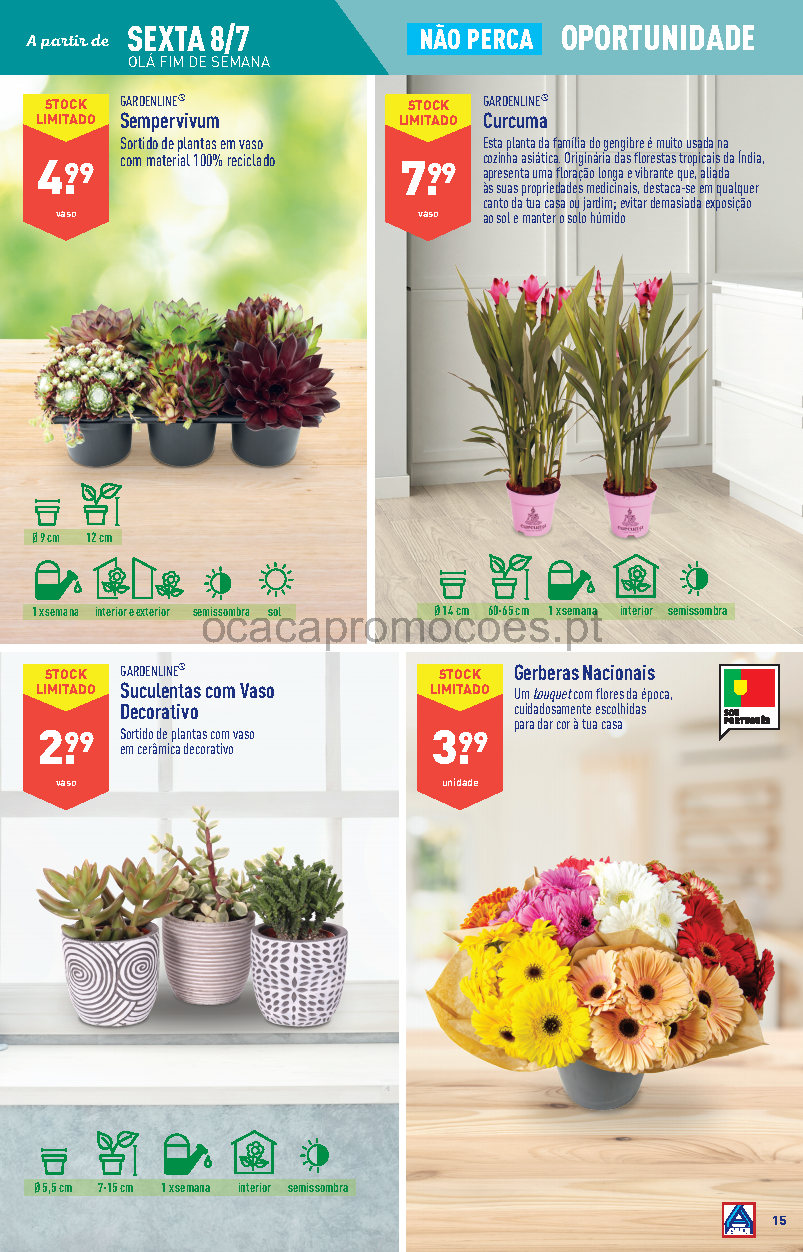 flores folheto aldi 6 julho 12 julho promocoes Page15 1