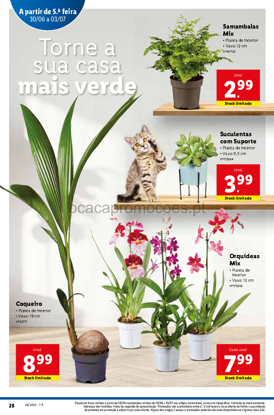 flores folheto lidl 27 junho 3 julho promocoes Page50