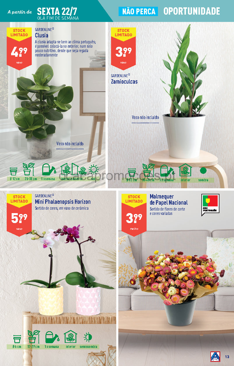 flores folheto aldi 20 julho 26 julho promocoes Page13 1