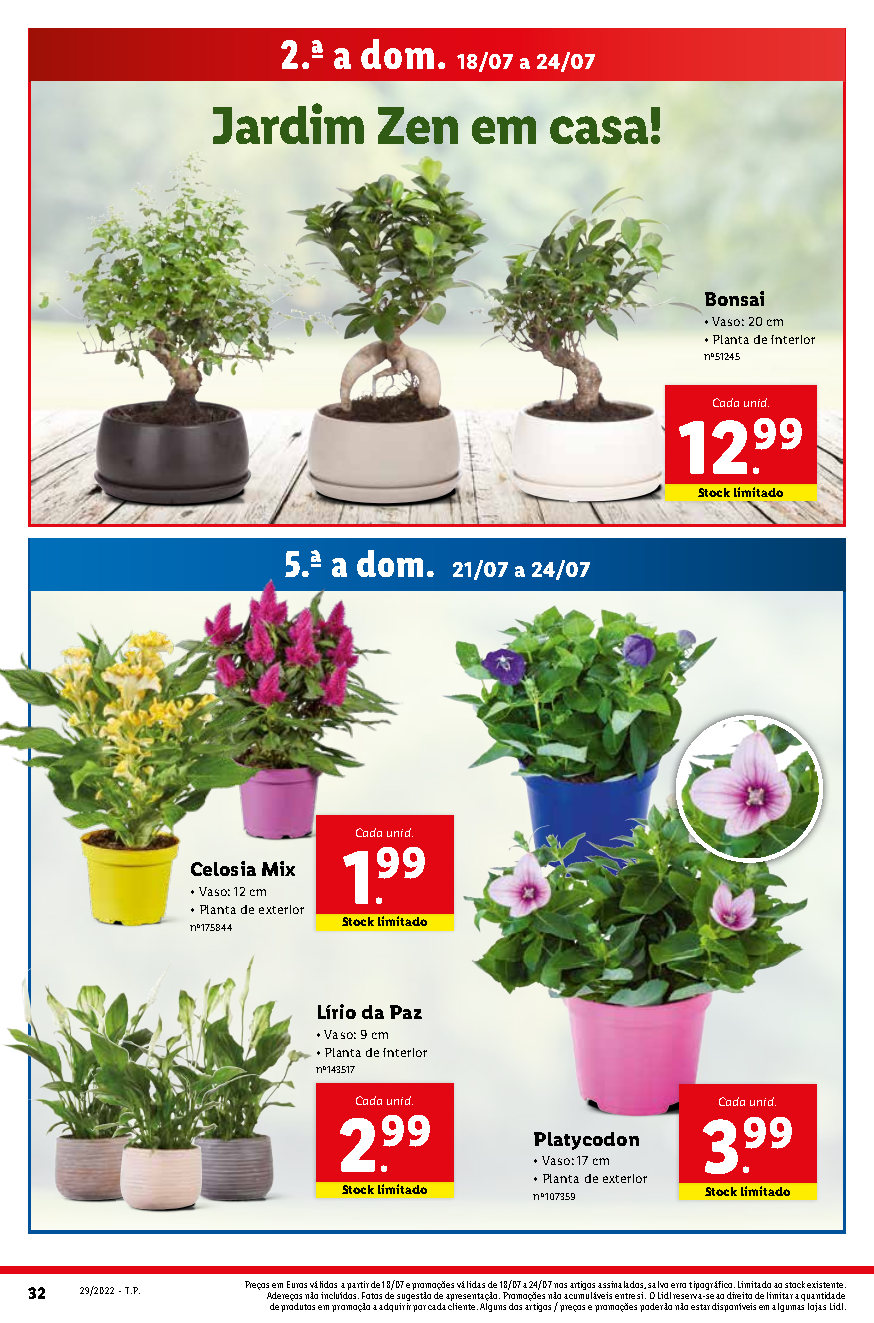 flores folheto lidl 18 julho 24 julho Page51