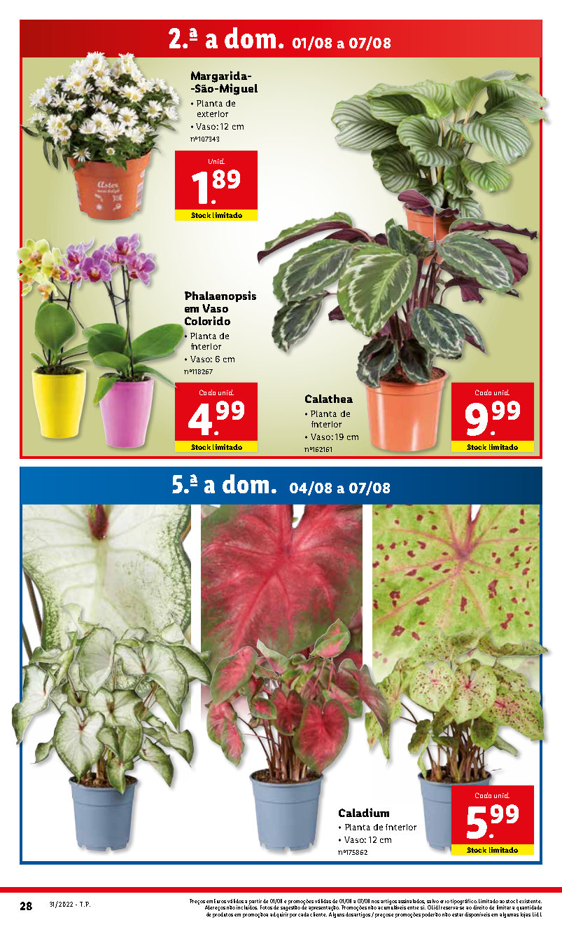 flores folheto lidl 1 agosto 7 agosto promocoes Page46