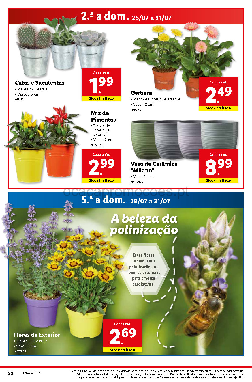 flores folheto lidl 25 julho 31 julho promocoes Page54