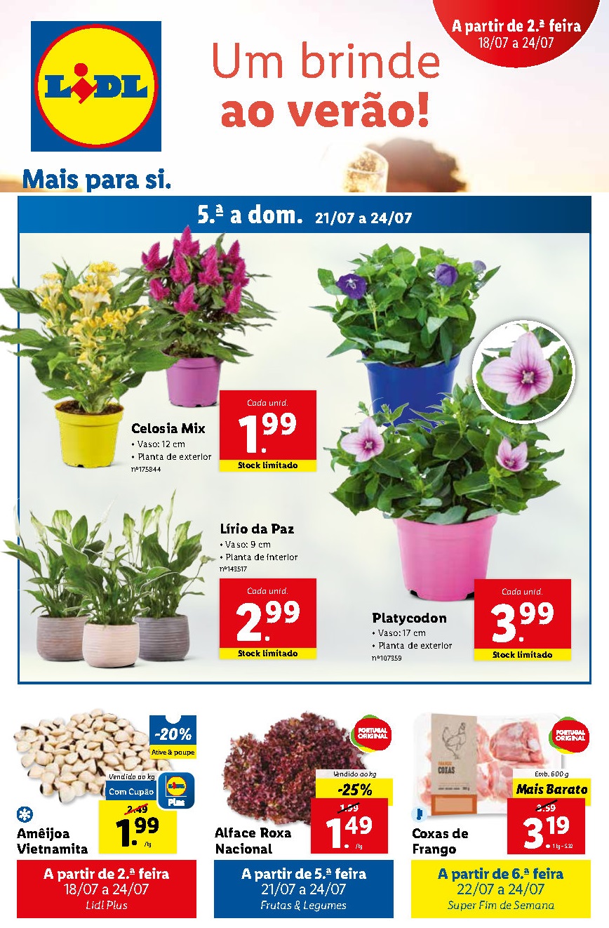 folheto lidl 18 julho 24 julho Page20 1