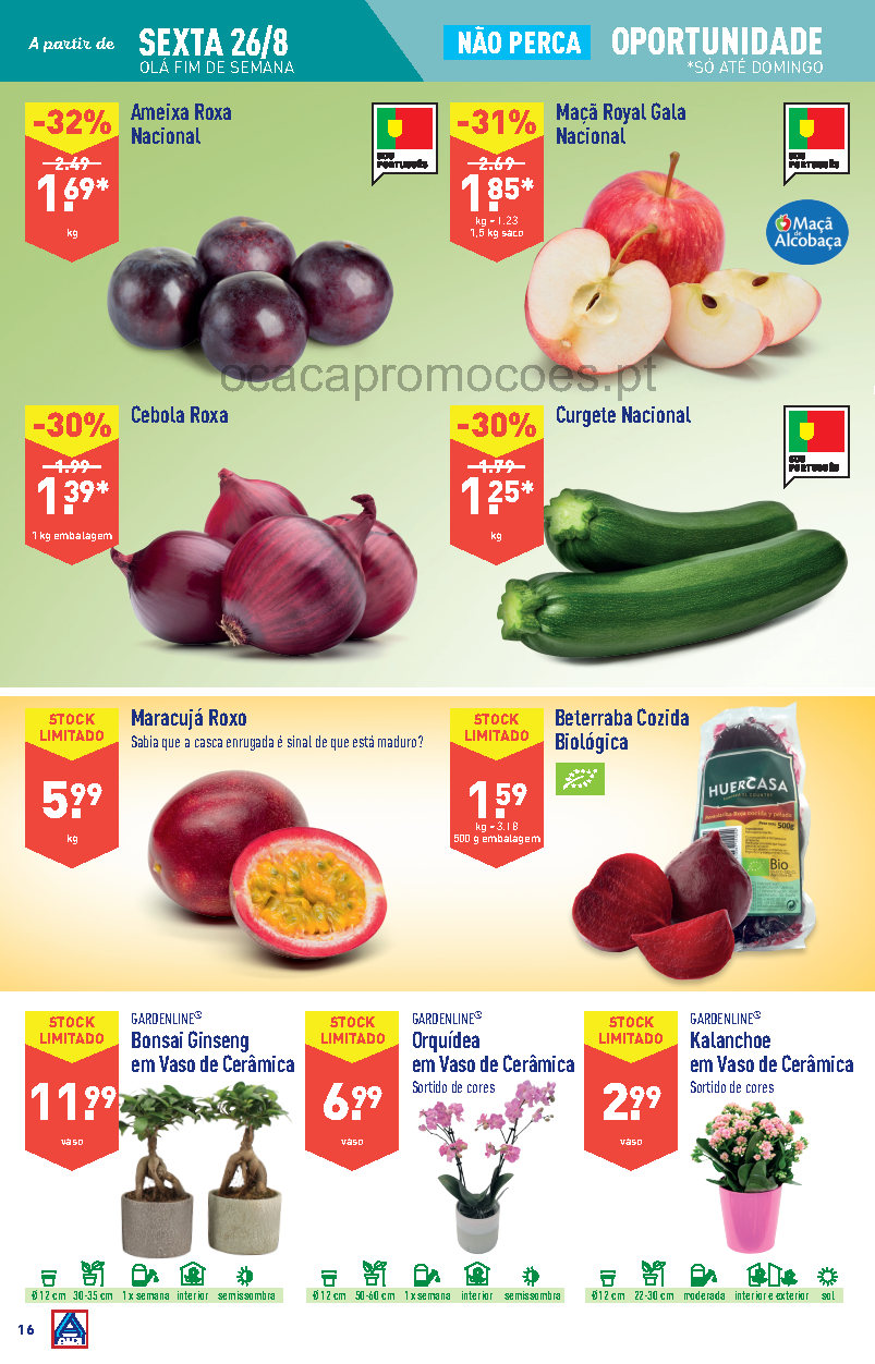 aldi folheto aldi 24 agosto 30 agosto Page16 1