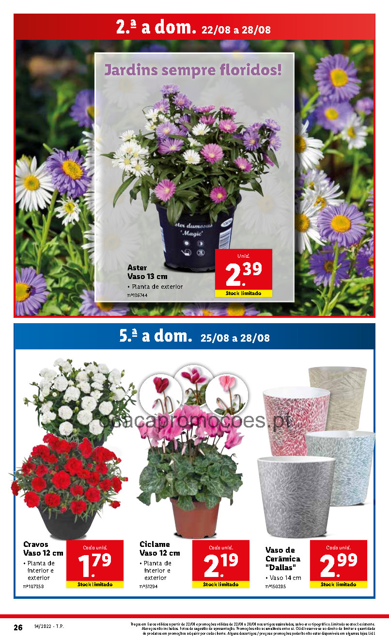 antevisao folheto lidl 22 agosto 28 agosto promocoes Page48