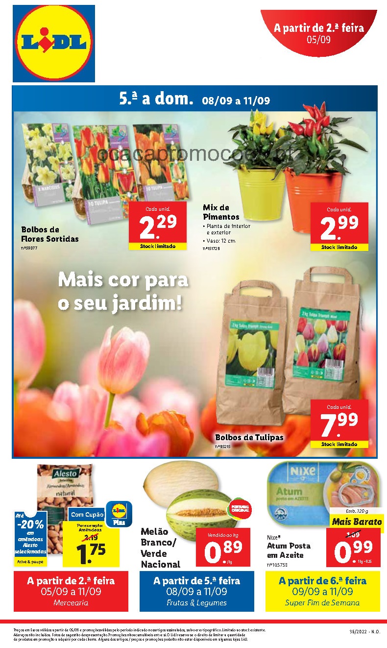 antevisao folheto lidl 5 setembro 11 setembro Page17 1 1