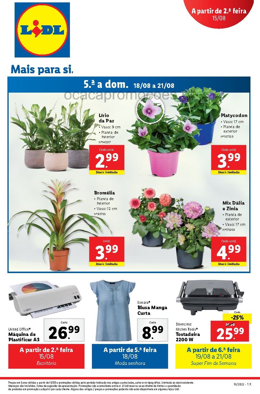 folheto lidl 15 agosto 21 agosto promocoes Page1 1