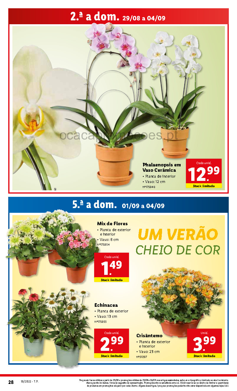 folheto lidl 29 agosto 4 setembro promocoes Page30