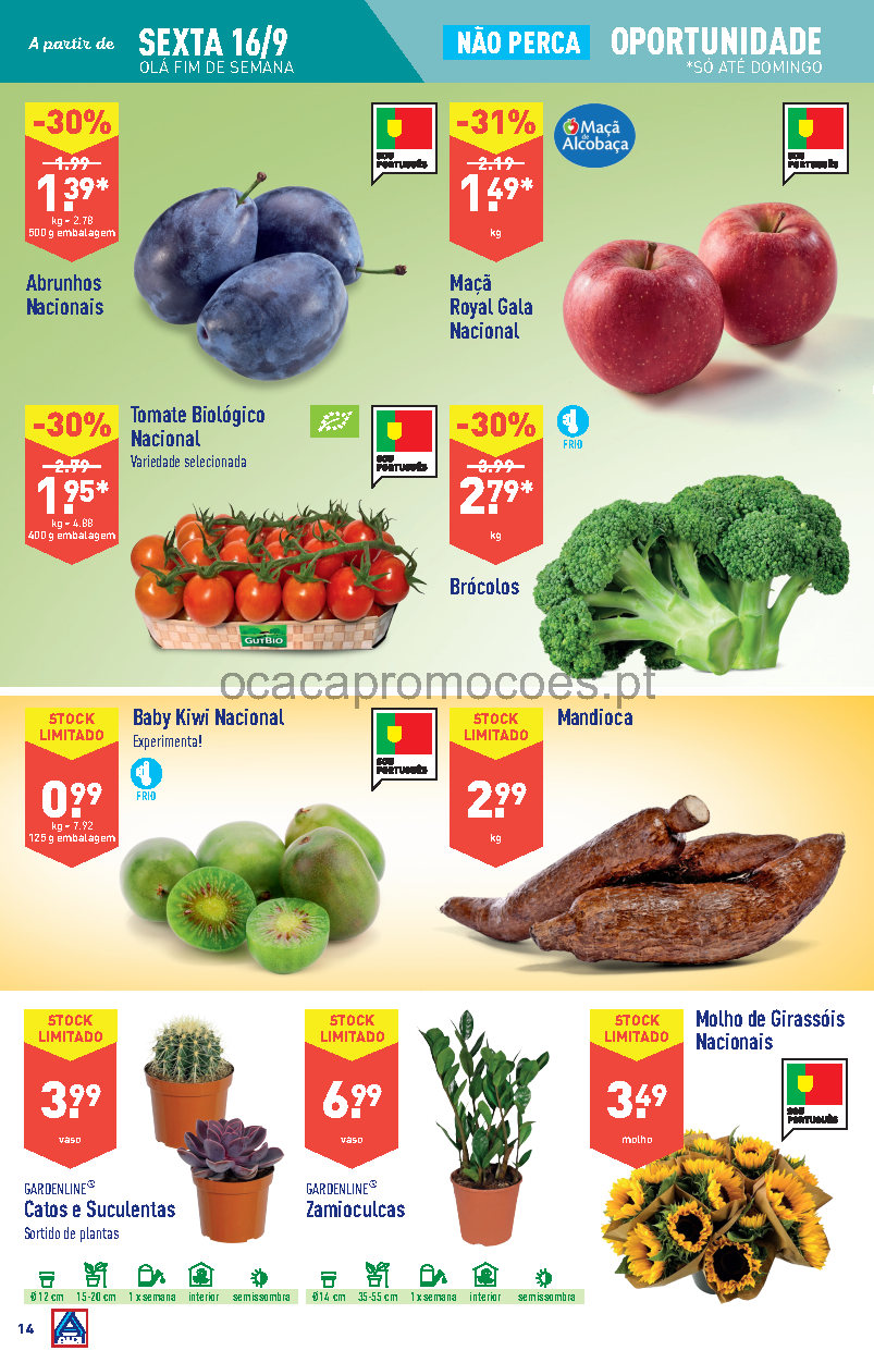 aldi folheto aldi 14 setembro 20 setembro promocoes Page14 1