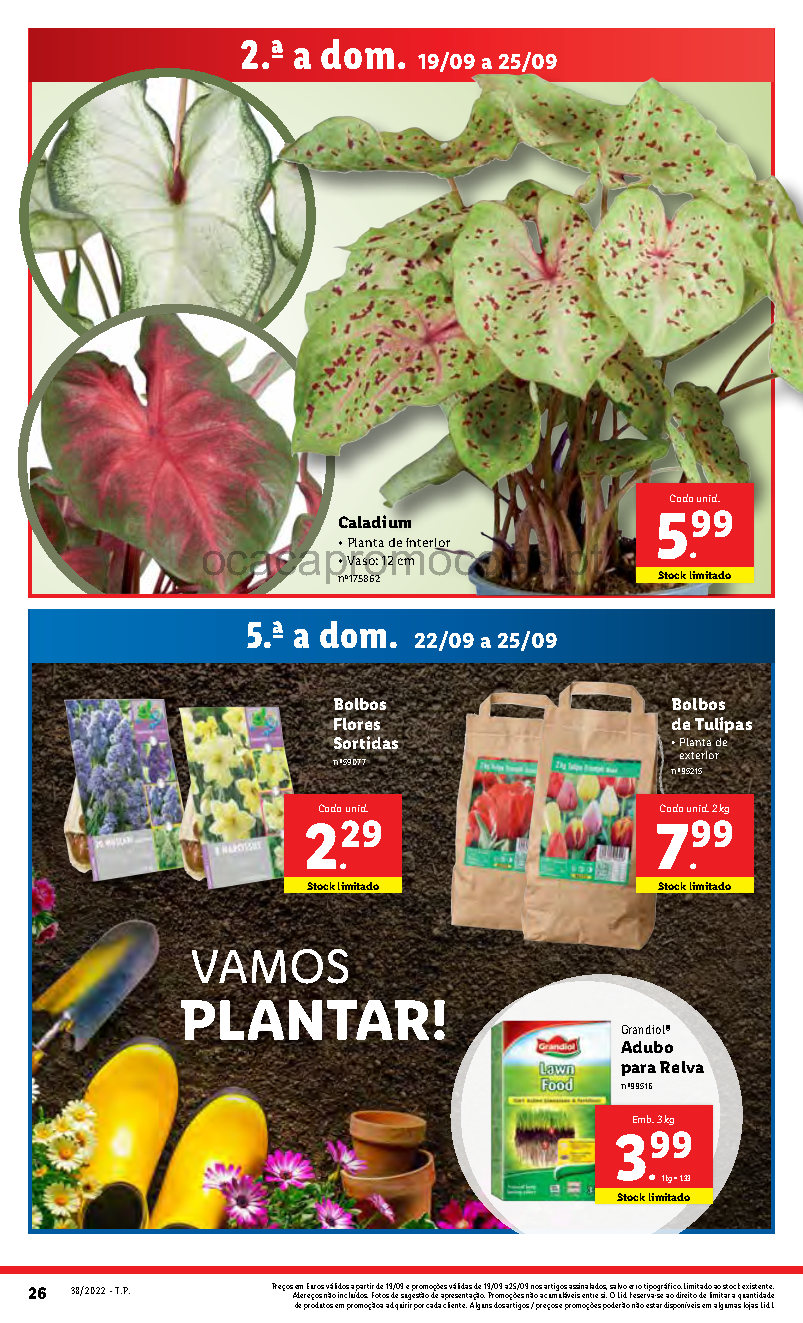 antevisao folheto lidl 19 setembro 25 setembro promocoes Page21 26