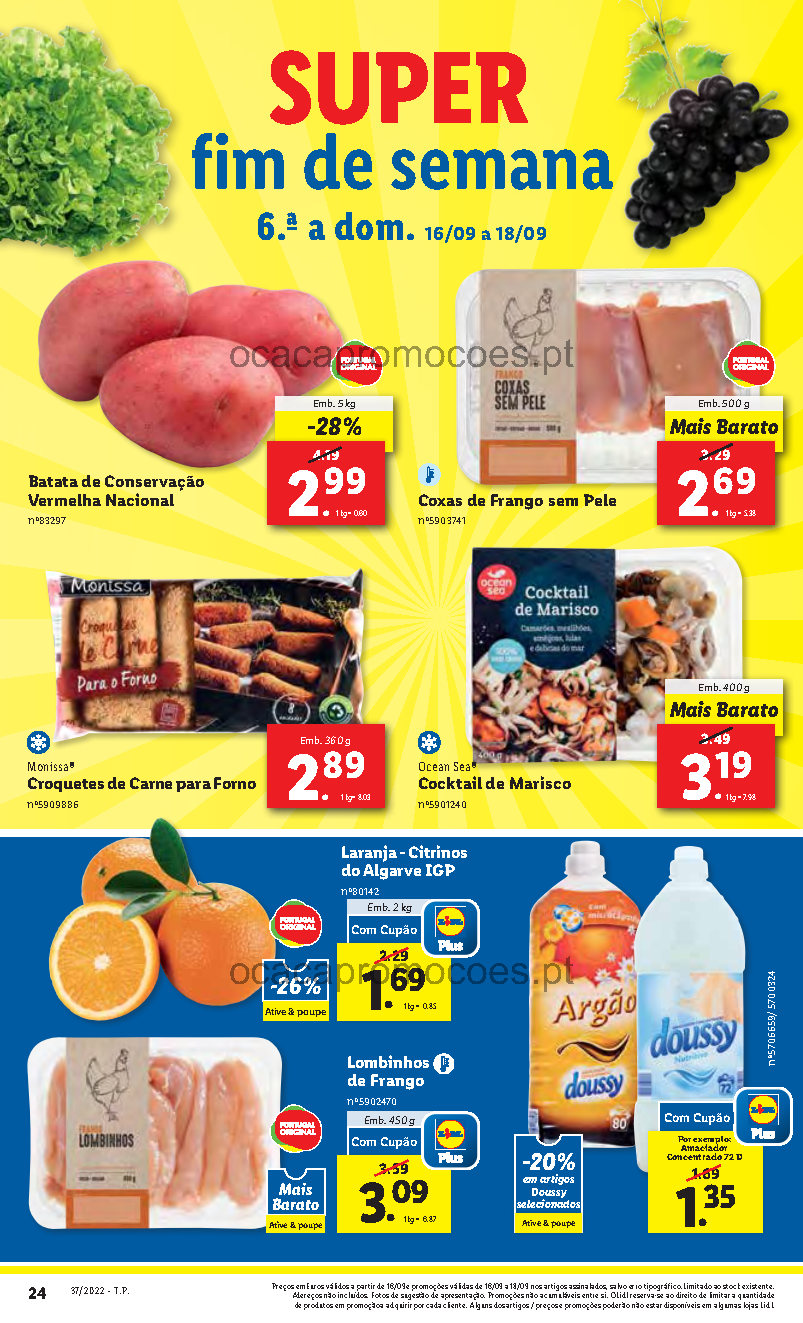 antevisao folheto lidl bazar 12 setembro 18 setembro Page17 24