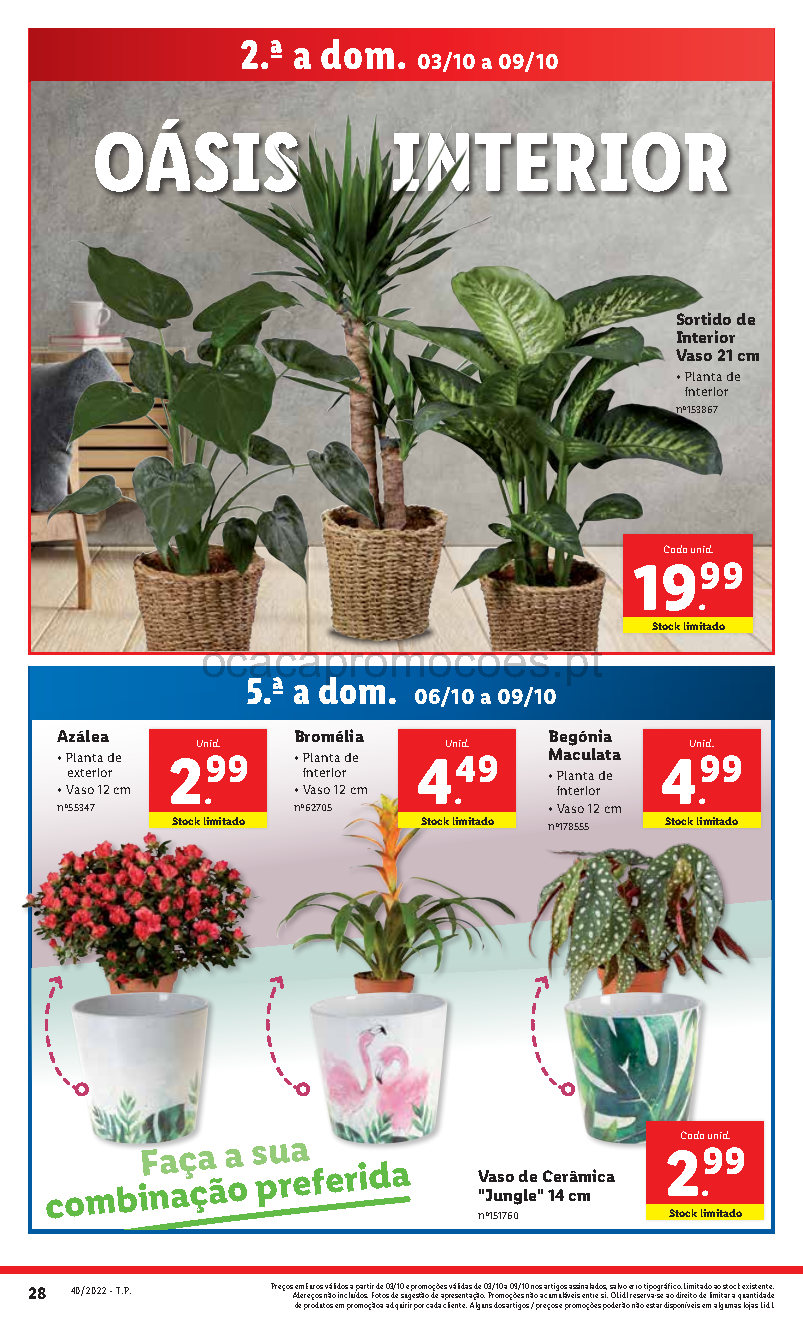 antevisao lidl folheto 3 outubro 9 outubro promocoes Page44