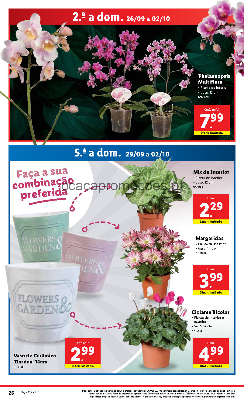 flores folheto lidl 26 setembro 2 outubro promocoes Page44