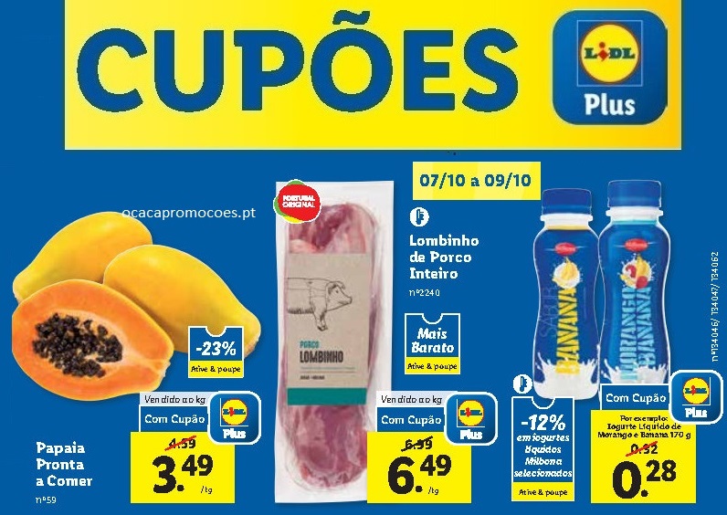 promocoes cupoes folheto lidl