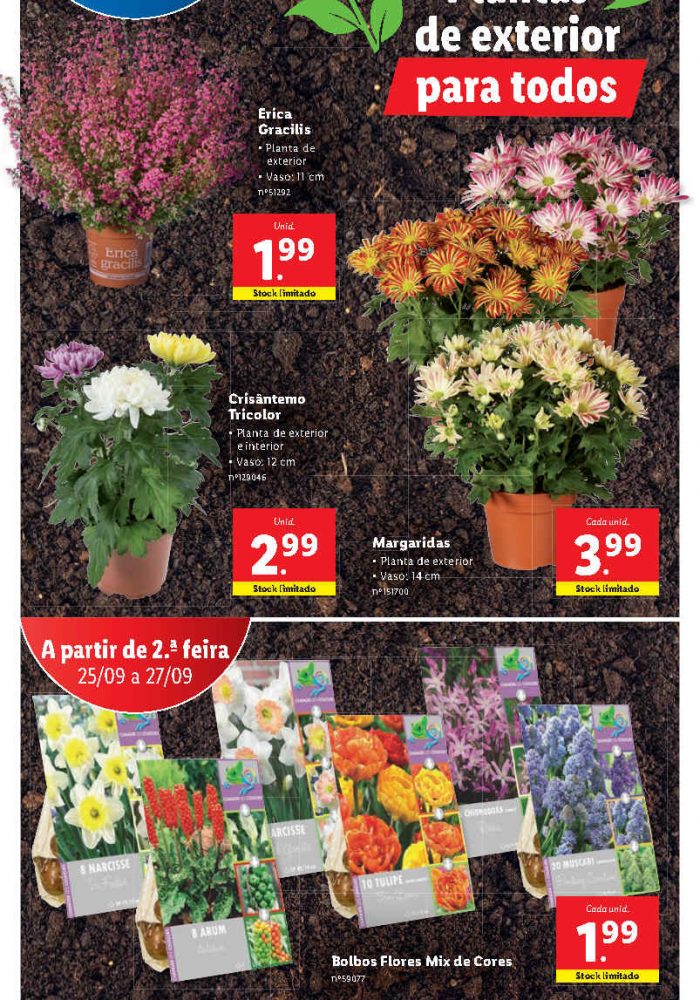 _folheto_lidl_Page37
