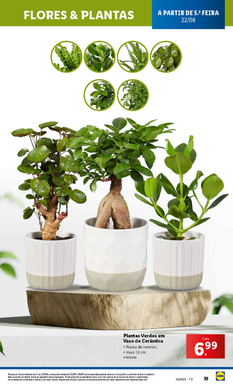 Antevis o Folheto LIDL Bazar Mercado Das Flores Promo es 22 A 28 De 