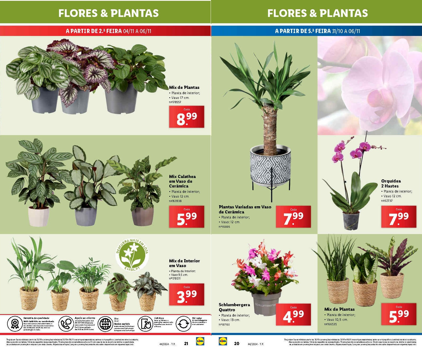 LIDL Destaques! Anteviso Bazar Flores Promoes 4 a 6 de novembro - O Caa  Promoes