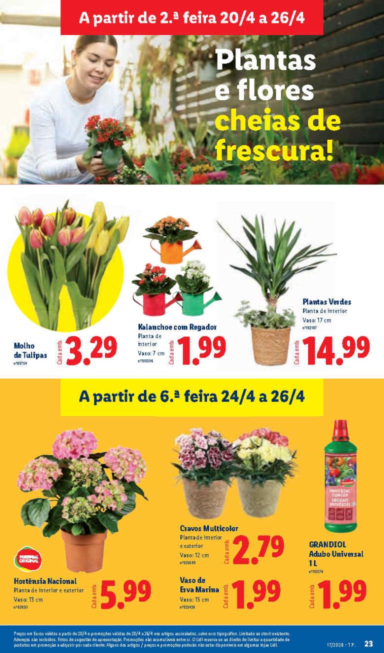Folheto Lidl Flores: Antevisão Promoções 20 a 26 de abril