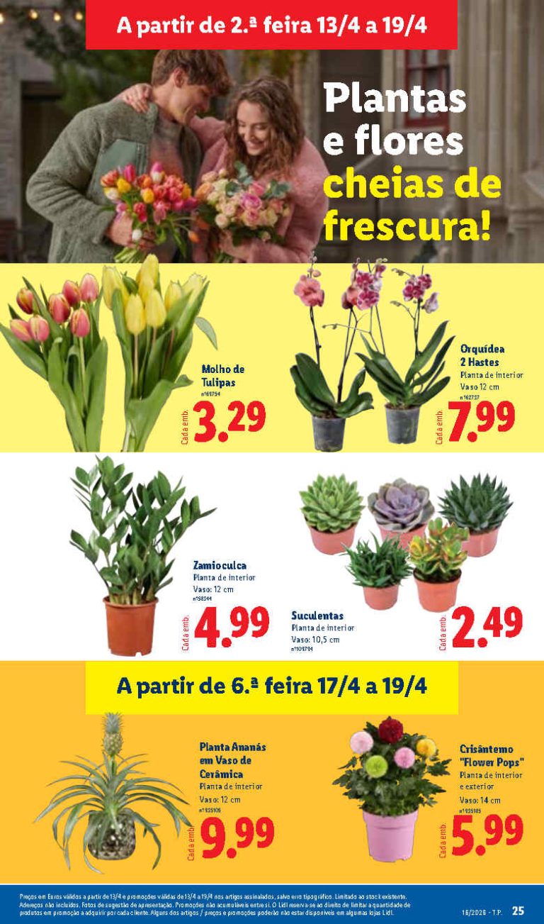 Folheto Lidl Flores – Antevisão Promoções 13 a 19 de abril