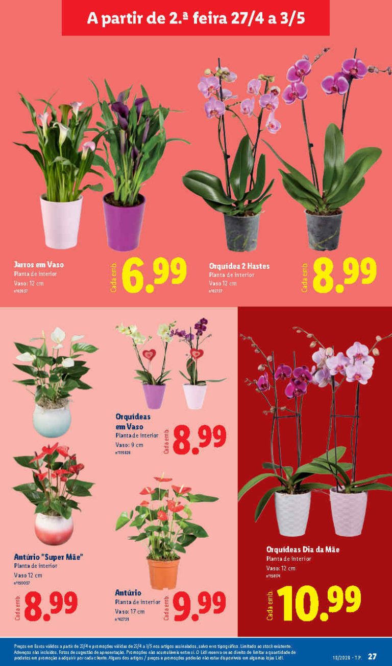 Folheto Lidl Flores: Antevisão bazar Promoções de 27 abril a 3 maio